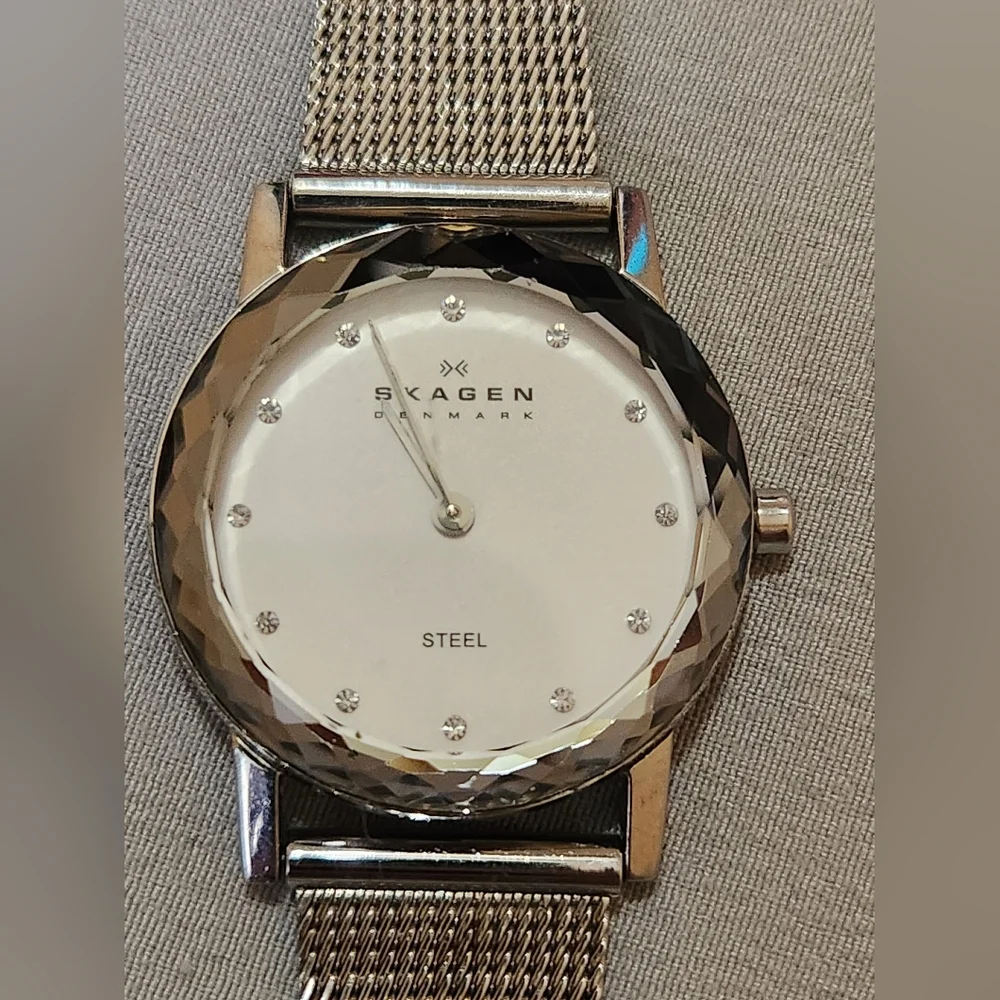 Skagen Women's Mesh Quartz Dial Watch